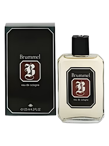Brummel by Antonio Puig