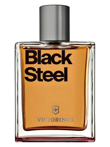 Black Steel by Victorinox Swiss Army