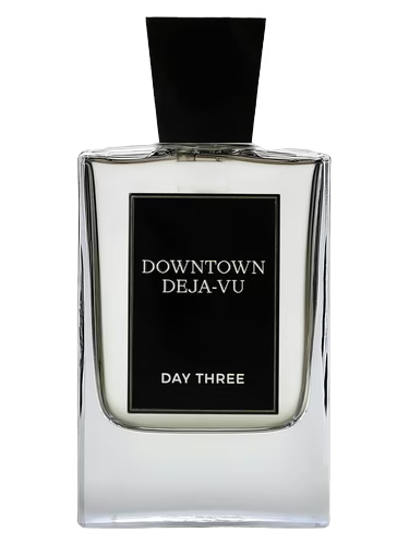 Downtown Deja-Vu by Day Three